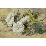 Helen Cordelia Coleman (Angell) (British 1847-1884): 'Roses'