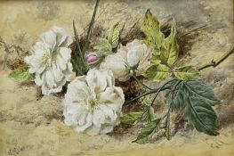 Helen Cordelia Coleman (Angell) (British 1847-1884): 'Roses'