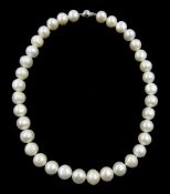 Single strand white freshwater cultured pearls with a 9ct gold ball clasp