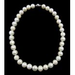 Single strand white freshwater cultured pearls with a 9ct gold ball clasp