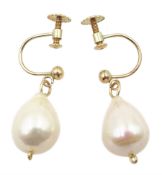 Pair of gold white/pink cultured pearl pendant screw back earrings