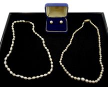 Pair of 9ct white gold white/cream pearl stud earrings