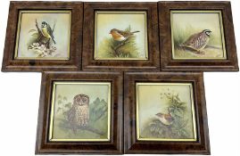 Five framed porcelain plaques