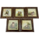 Five framed porcelain plaques