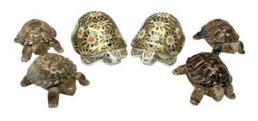 Two Royal Crown Derby Indian Star Tortoise paperweights with gold stoppers and four Wade tortoises