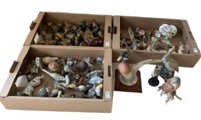 Assorted bird figures to include �The Country Bird Collection� models