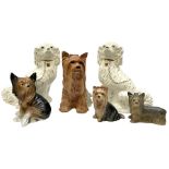 Beswick fireside Yorkshire terrier dog model no 2377 H25.5cm