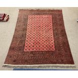 Large red ground Persian Bokhara carpet