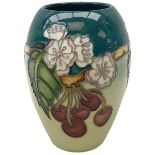 Moorcroft vase