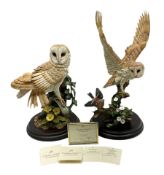 Country Artists 'The Intruder' by David Ivey limited edition model