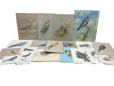James Deacon (British 20th century): Birds