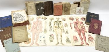 Bailliere's Popular Atlas of the Anatomy and Physiology of the Female Human Body