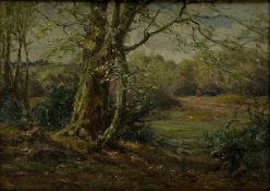 Frederick Golden Short (British 1863-1936): Wooded Landscape