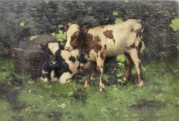 David Gauld (Scottish 1865-1936): Study of Calves in Landscape