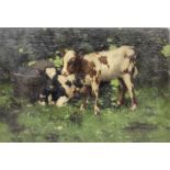 David Gauld (Scottish 1865-1936): Study of Calves in Landscape