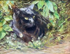 Iris Collett (British 1938-): Black Cat in the Undergrowth