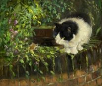 Iris Collett (British 1938-): Cat on a Wall Top