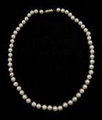 Single strand white/pink cultured pearl necklace