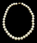 Single strand white cultured pearl necklace