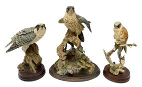 Country Artists figure of a peregrine falcon ' Lord of the Skies ' by David Ivey