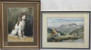 G F Overton (British 20th century): 'Portrait a spaniel' and 'The Shepherd'