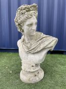 Large composite stone classical bust