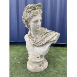 Large composite stone classical bust