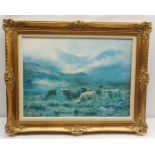 Print of Highland Cattle in gilt frame