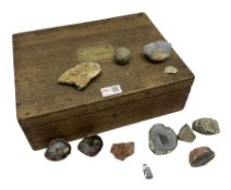 Mineral geode / agate rock specimens