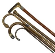 Five walking sticks