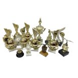 Various trophies