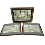 Two glazed frames each containing twenty five Player's cigarette cards of various fish