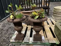 Pair of small cast iron garden urns - THIS LOT IS TO BE COLLECTED BY APPOINTMENT FROM DUGGLEBY STORA