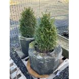 Pair of octagonal composite planter linings