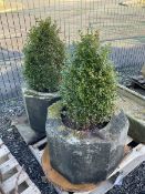 Pair of octagonal composite planter linings