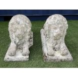 Pair composite stone garden recumbent lions - THIS LOT IS TO BE COLLECTED BY APPOINTMENT FROM DUGGLE