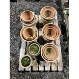 Terracotta garden pots