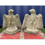 Pair composite stone perched eagle figures/gate post toppers with spread wings