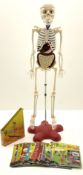 Billie Bones anatomy skeleton with set of magazines volume one to thirty four