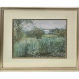 Barbara WILLS (1924-2013) Landscape Gouache together with two signed Biddy Picard prints