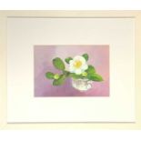 Jane KELL (20th/21st Century British School) Camelia buds in a vaseOil on boardSigned verso14 x 20cm