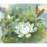 Sheena DAVISSummer Pond Chinese ink and colour on hemp paper Signed 28 x 33cm