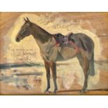 Charles CHURCH (1971)Study of a Horse, 'Cool Dawn' winner of the 1998 Cheltenham Gold Cup. Oil on