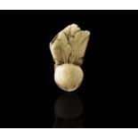 A Japanese carved bone netsuke of Pak Choi, 19th century, height 7.5cm, width 4cm, depth 3cm.