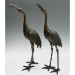 A pair of Japanese bronze cranes, early 20th century, height 48.5cm.