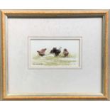 Peter BARNES (20th Century British School)Hens Six watercolours Each signed and dated 19896 x 11cm
