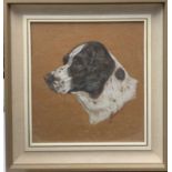 Portait of a sporting dog.Body colour on boardIndistinctly signed53.5x50cm framed