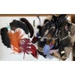 Large quantity of hat and head dress feathers Victorian to 1920s. Ostrich and mixed.