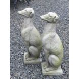 A pair of reconstituted stone sculptures of seated whippets, height 56cm, and a reconstituted