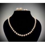 A cultured pearl necklace, 50cm, with a pretty 9ct gold pearl set clasp and matching earrings